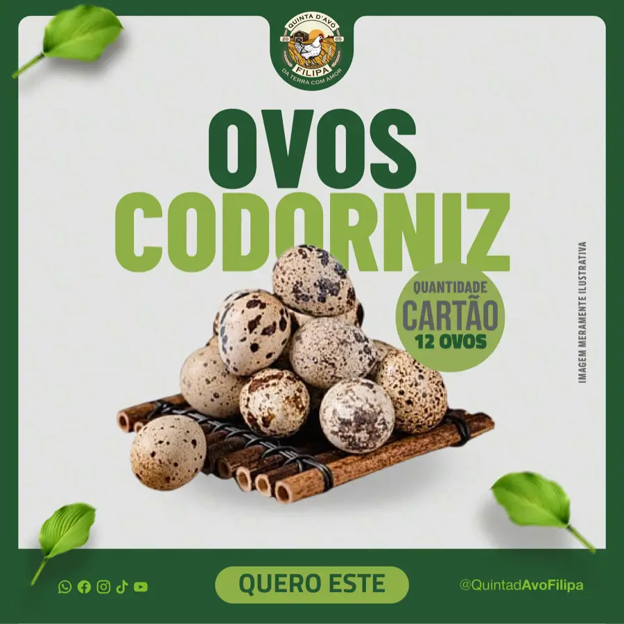 Ovos de Codorniz