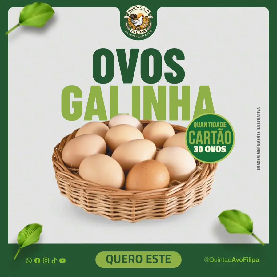 Ovos de Galinha